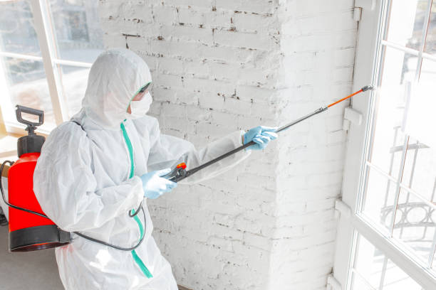 Best Asbestos and Lead Testing During Mold Inspection  in Burbank, IL